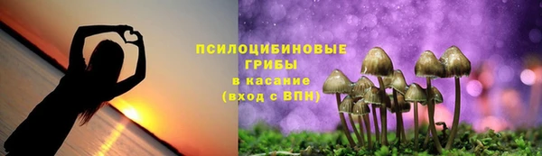 МДПВ Володарск