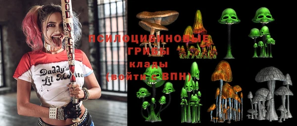 МДПВ Володарск